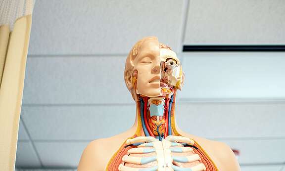 [Translate to Italiano:] 